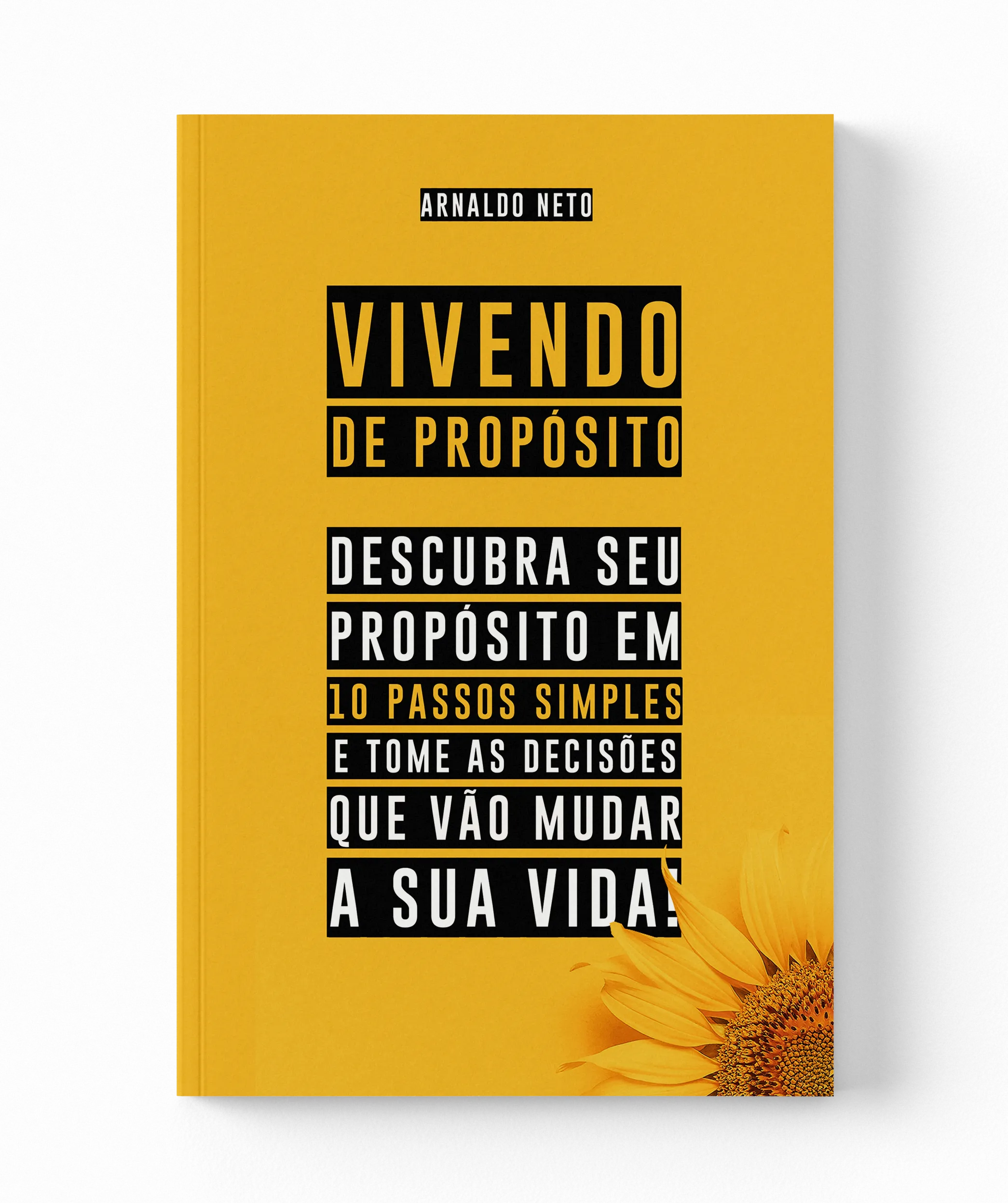 Capa-Vivendo-de-Propósito