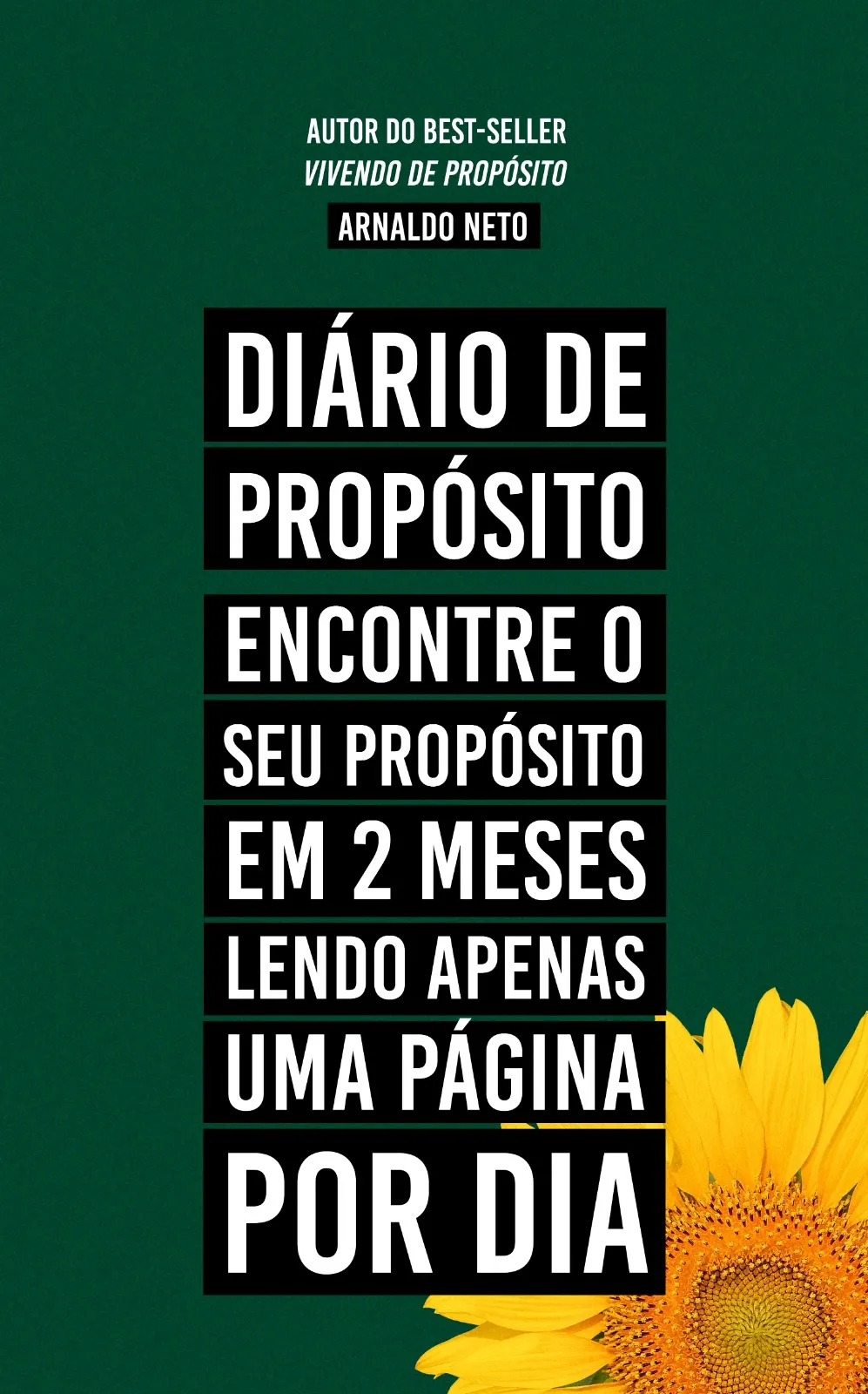 Diário de propósito